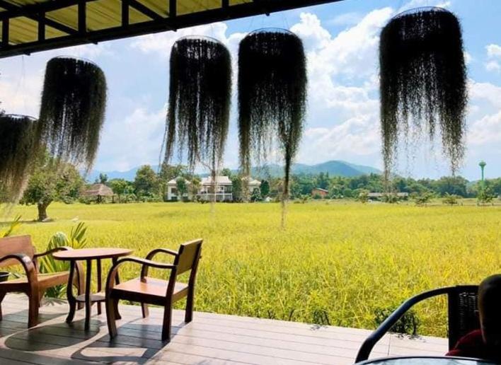Oon Valley Farm Stay San Kamphaeng Exteriör bild