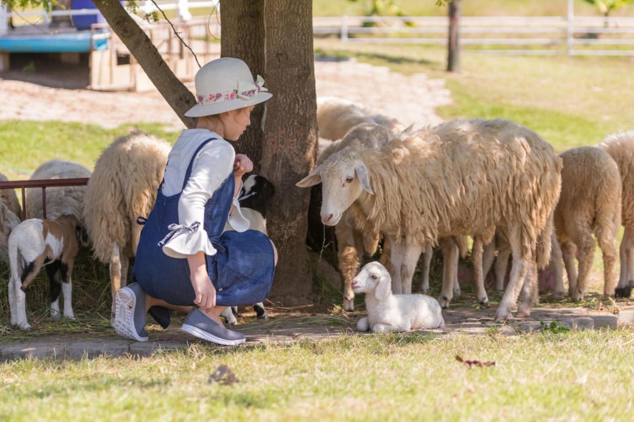 Oon Valley Farm Stay San Kamphaeng Exteriör bild